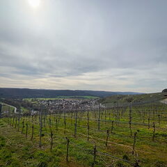 23-03-17 14-01-16 4914